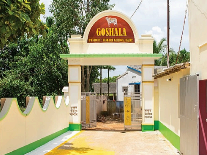 Big Goshala
